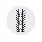 Fraise à copier, à arrosage interne, Ø d1 : 20 mm, Nombre de dents 2, Dimensions Ø D 10 mm, Ø de queue : 25 mm, Dimensions l : 180 mm Fraise à copier, à arrosage interne, Ø d1 : 20 mm, Nombre de dents 2, Dimensions Ø D 10 mm, Ø de queue : 25 mm, Dimensions l : 180 mm