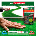 Gazon canada green perfect grass 1kg