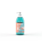 Gel AEXALT ALCOBAEX hydroalcoolique hypoallergénique - Flacon 500 ml avec pompe - GH668