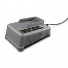 Chargeur rapide batterie power+ 36/60 2.445-045.0