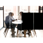 Film Opacifiant Noir Mat – Intimité Totale & Esthétique Élégante - largeur & longueur au choix