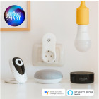 Kit de démarrage ampoule wifi + caméra wifi + prise wifi - compatible amazon alexa & google home