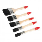 Lot de 5 pinceaux jetables - 5 pcs