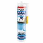 Cartouche mastic colle spécial piscine 290ml