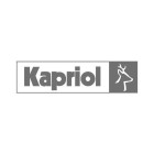 Niveau à bulle fondu optivision kapriol 100 cm