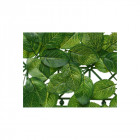 Panneau de jardin vertical edm - vert intense - 100x9x100cm