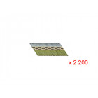 Lot de 2 200 pointes annelées galvanisées D=2.8mm L=70mm DEWALT DT99708RG