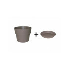Taupe