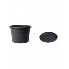 Anthracite