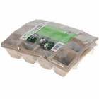 24 pots de semence en carton biodégradable