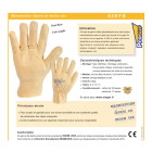 Prosur - 034099 - gants taille 11 manutention légère en milieu sec lot de 10