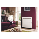 Radiateur inertie 750W  atlantic Shangai Eco Domo