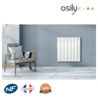 Radiateur osily à fluide caloporteur ketsch+ blanc - 2000w