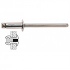 Rivets Inox / Inox Tete Plate - 3.2 x 10 mm