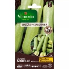 Sachet graines courgette adrielle hf1