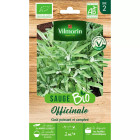 Sachet graines sauge officinale bio - salvia officinalis