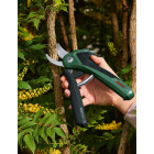 Sécateur bosch hg easyprune
