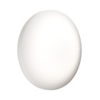 Silara pure plafonnier led 250mm blanc chaud