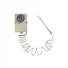 Sonde hors gel - pour piscine - manuelle