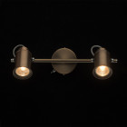 Spot laiton industrial 2 ampoules 15 cm