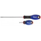 Tournevis Expert Electricien