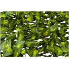 Treillis osier 1 x 2 m feuilles vertes-jaunes
