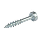 Vis en zinc à tête cylindrique, à pas grossier pour trous dissimulés - 1000 vis n° 7 x 1"