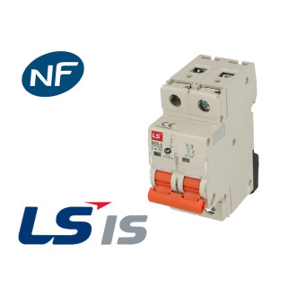 Disjoncteur modulaire bkn 63a 2p