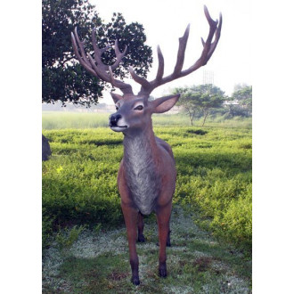 Cerf adulte en résine taille réelle