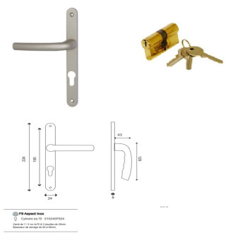 Porte Fenêtre bois 1 vantail h215 x l 80 tirant gauche côtés tableau + poignée et barillet (ref 01245f924) gd menuiseries