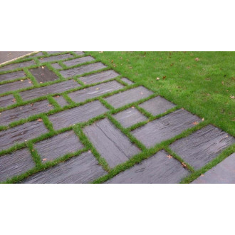 Palis de schiste ton ardoise