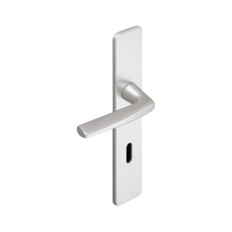 Ensemble de porte Riviera BEZAULT Entraxe 195 mm Argent - Bec de cane - 0072713 
