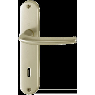 Ensemble de porte San Diego 1191/347 HOPPE Alu Champagne F2 - Clé L - 3230338