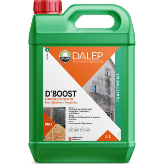 D'BOOST Booster d'efficacité pour Traitement anti-dépots verts - DALEP - 5L - 190 005