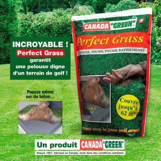 Gazon canada green perfect grass 1kg