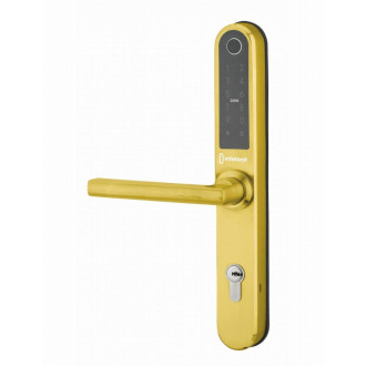 Garniture de porte Intelock Multi THIRARD