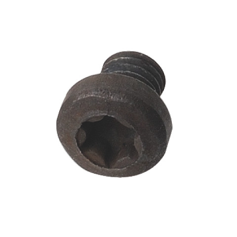 Vis  ts torx t8   m2,5x3x4,5   d=3 990.070.00