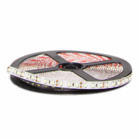 Ruban led 12v 5m smd3528 ip20 120led/m - couleur eclairage : blanc froid 6000k - 8000k