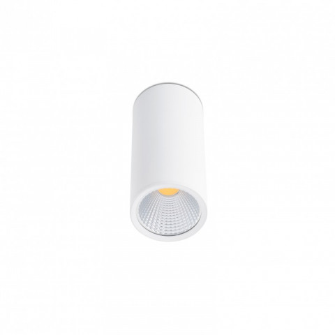 Spot blanc rel h16,5 cm