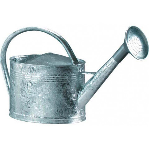 Arrosoir acier galvanisé avec pomme