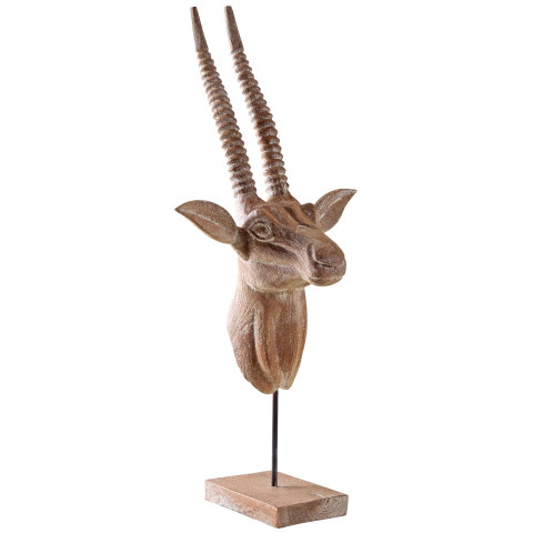 Trophée d'antilope