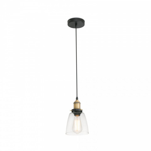 Suspension transparent liz 1 ampoule