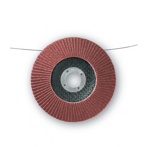 10 disques lamelles lamdisc convexe d.115x22,23mm a grain 80 support fibre