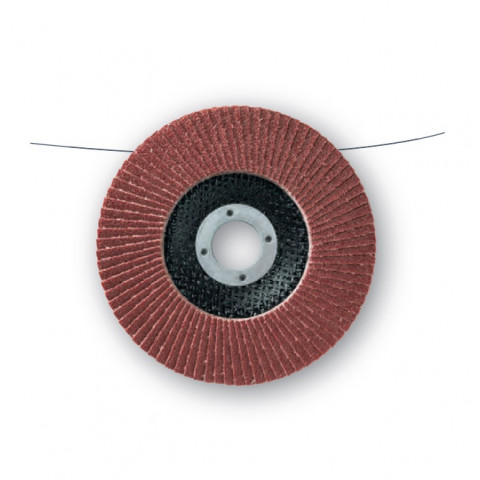 10 disques lamelles lamdisc convexe d.125x22,23mm a grain 40 support fibre