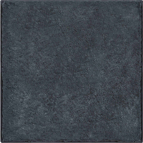 Tapis de salle de bain calo anthracite 60 x 60 cm