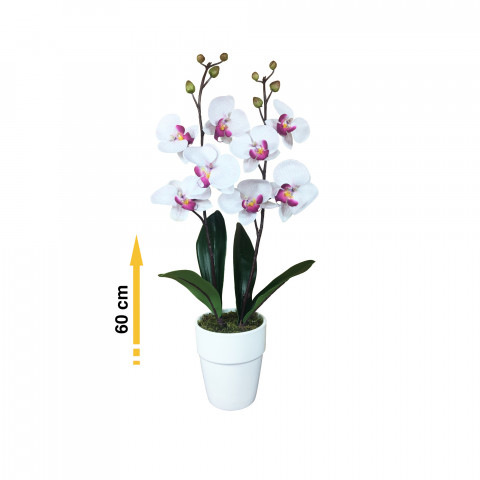 Artificielle Mauve Divers 60cm Striée Tiges Composition Orchidée Blanche 2 shQdCtrxB