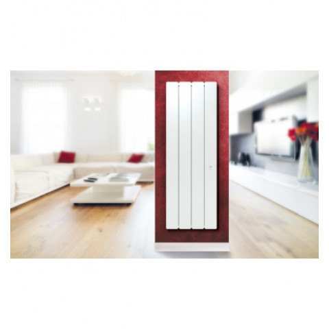 Radiateur pegase vertical smart eco control - Puissance au choix