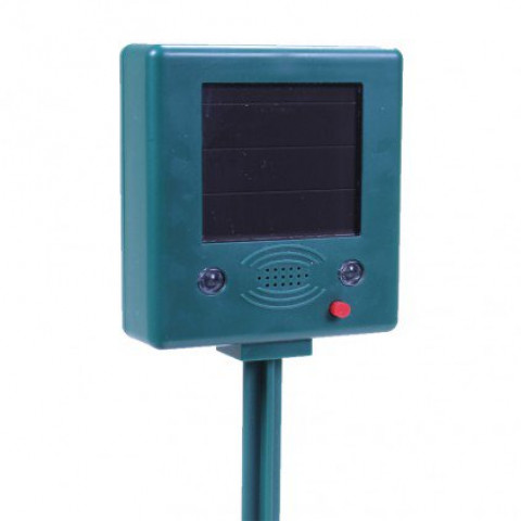 Répulsif solaire anti oiseaux et pigeon - vert