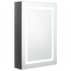 Armoire de salle de bain à miroir LED 50x13x70 cm - Couleur au choix Gris brillant