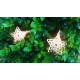 Guirlande lumineuse 10 étoiles dorées 
